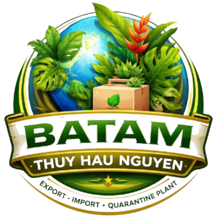 Logo PT Batam Thuy Hau Nguyen
